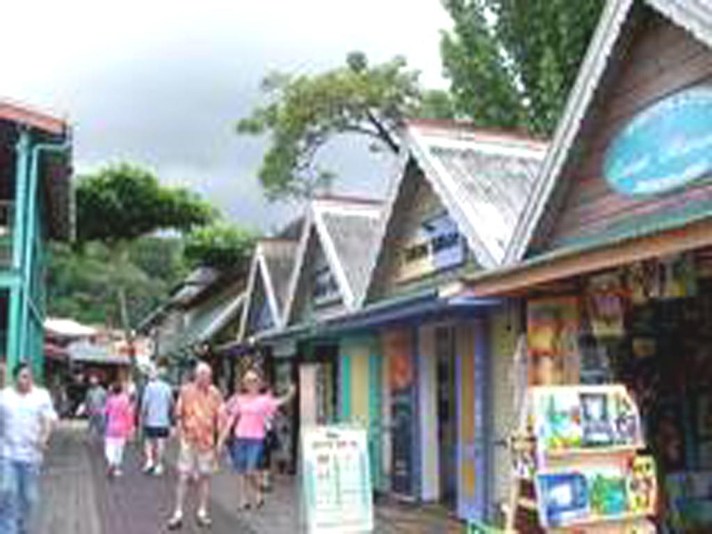 Sky Castles Apt J3 Ocho Rios Exterior foto